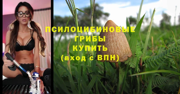 гидропоника Медногорск