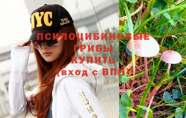 mix Мегион
