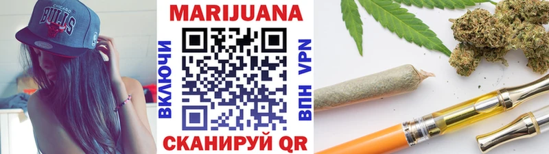 Конопля сатива Обь
